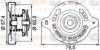 BEHR HELLA SERVICE 8MY 376 742-251 Cap, radiator